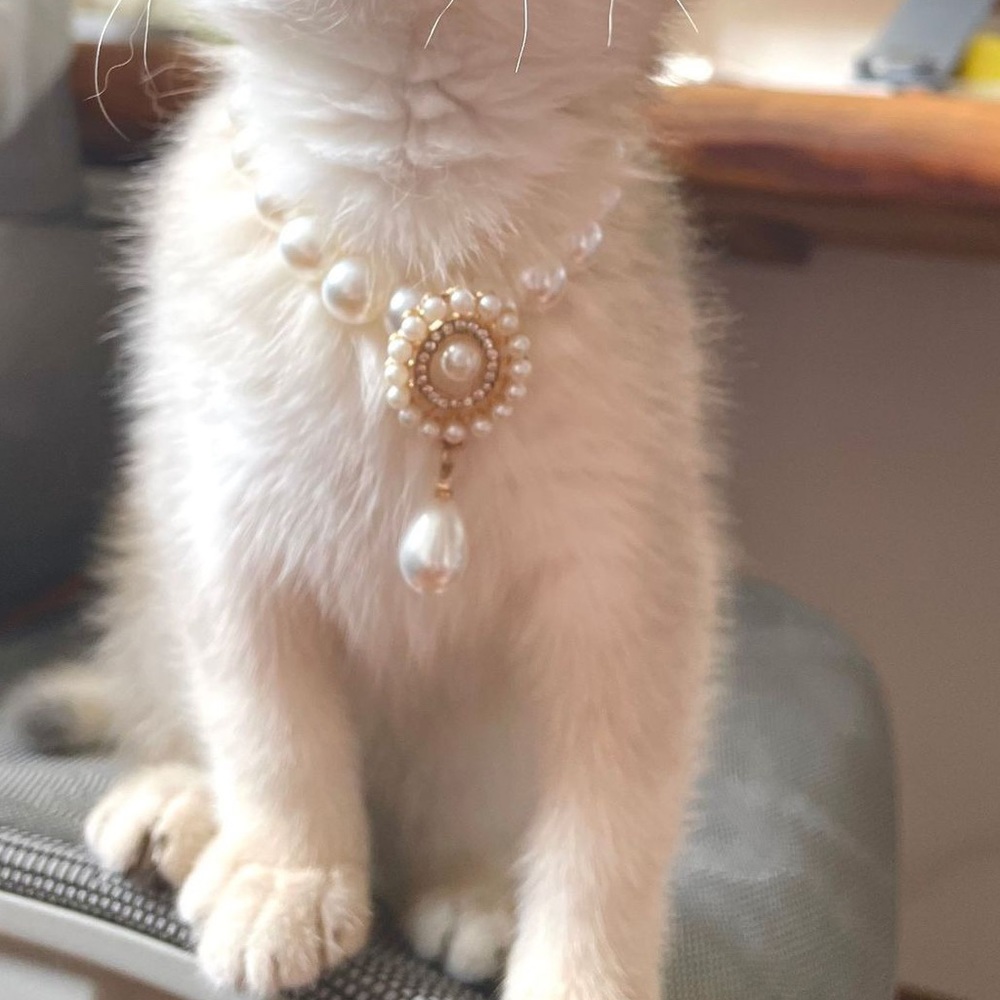 Cute Pet Dog Cat Pearl Collar Fancy Crystal Jewellery Dogs Necklace Size M